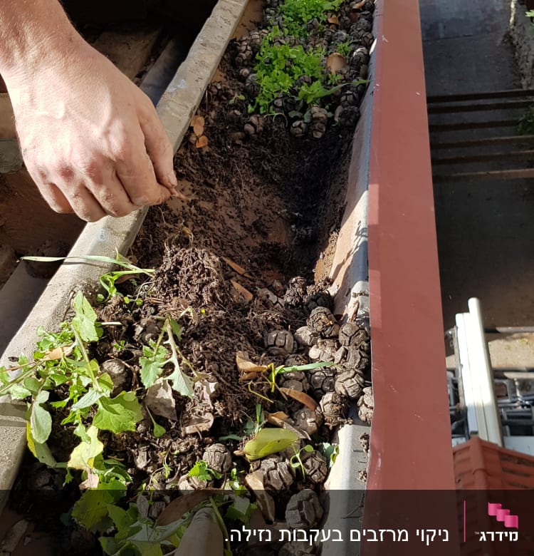 יד מנקה תעלה על גג עם צמחים ואדמה